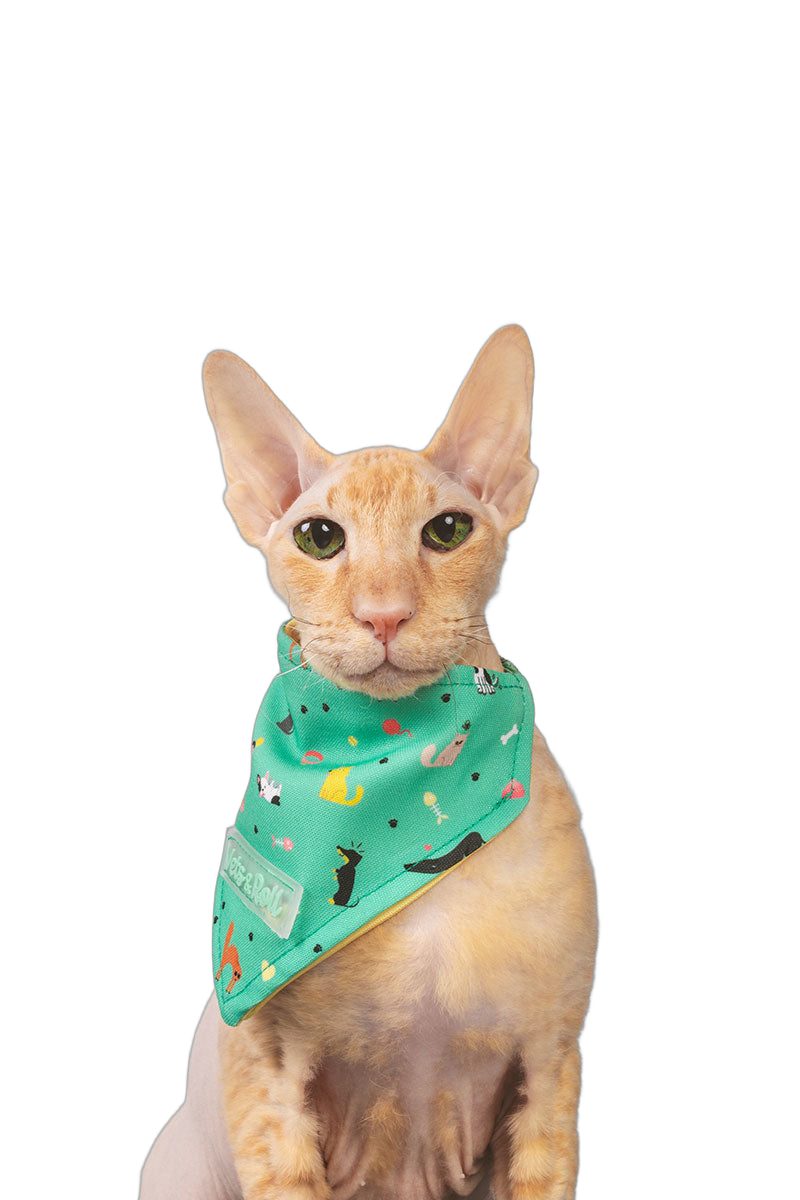 Bandana Pets&Roll