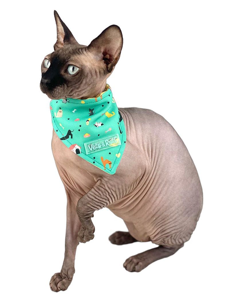 bandana-pets-roll-veterinario.jpg