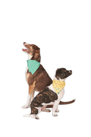Bandana Poop&Roll