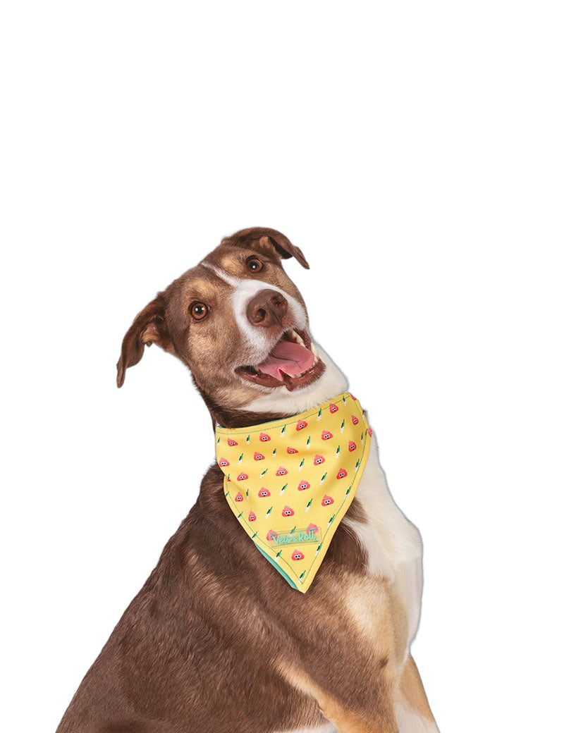 bandana-poop-roll-veterinario.jpg
