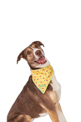Bandana Poop&Roll