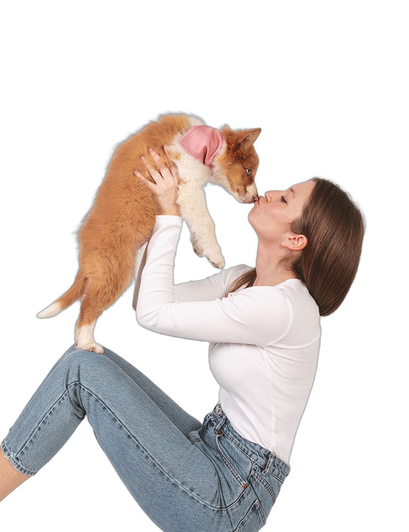 bandana-vets-pets-clinica-veterinaria.jpg
