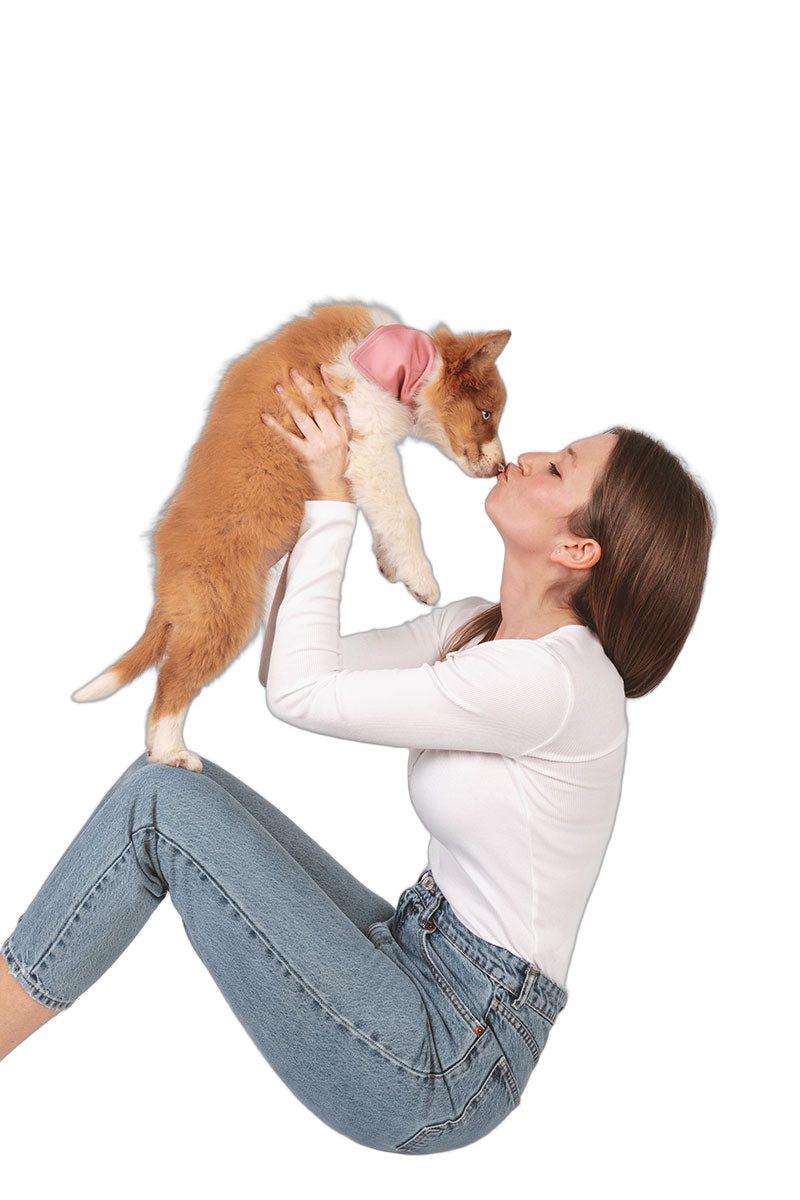 Bandana Vets&Pets