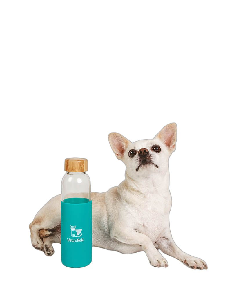 botella de agua reutilizable turquesa de la colección vets&roll, de color turquesa, para la taquilla de la clínica veterinaria