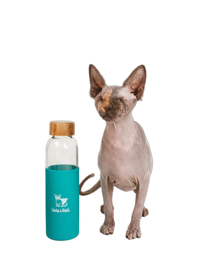 botella de agua reutilizable turquesa de la colección vets&roll, de color turquesa, para regalo a veterinarias y auxiliares