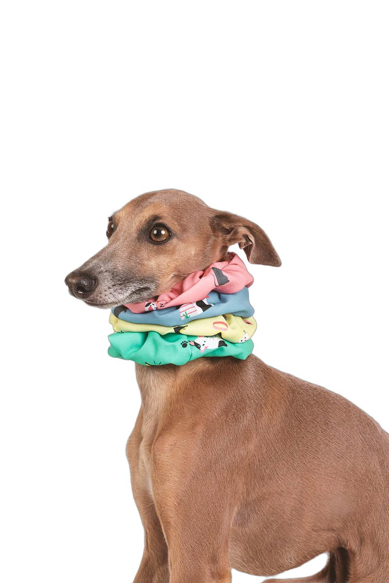 Coletero Vets&Pets