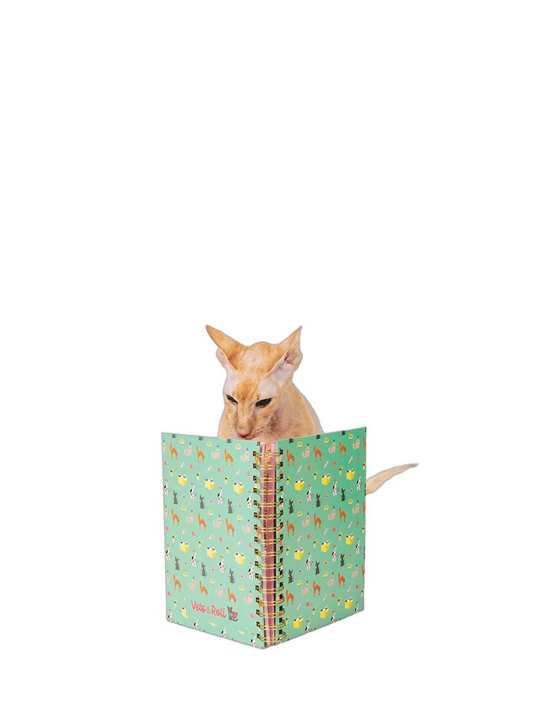 libreta-gatos-a5-veterinario.jpg
