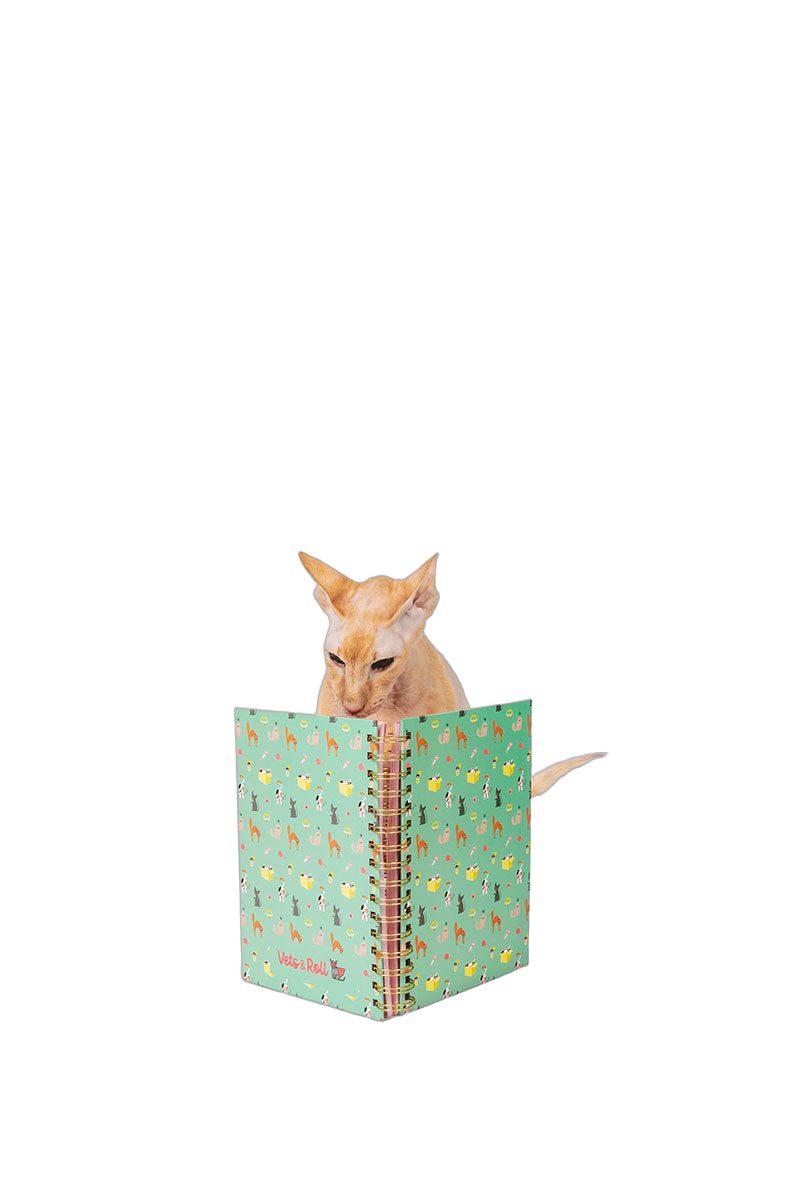 Libreta Gatos A5