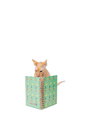 Libreta Gatos A5