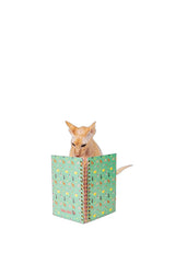 Libreta Gatos A5