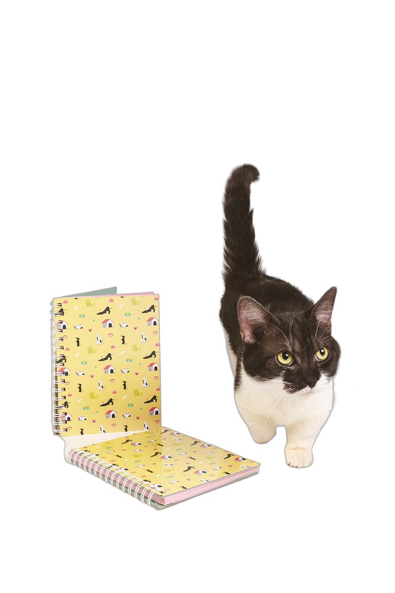 Libreta Gatos A5