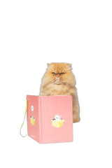 Libreta Invisibility A5