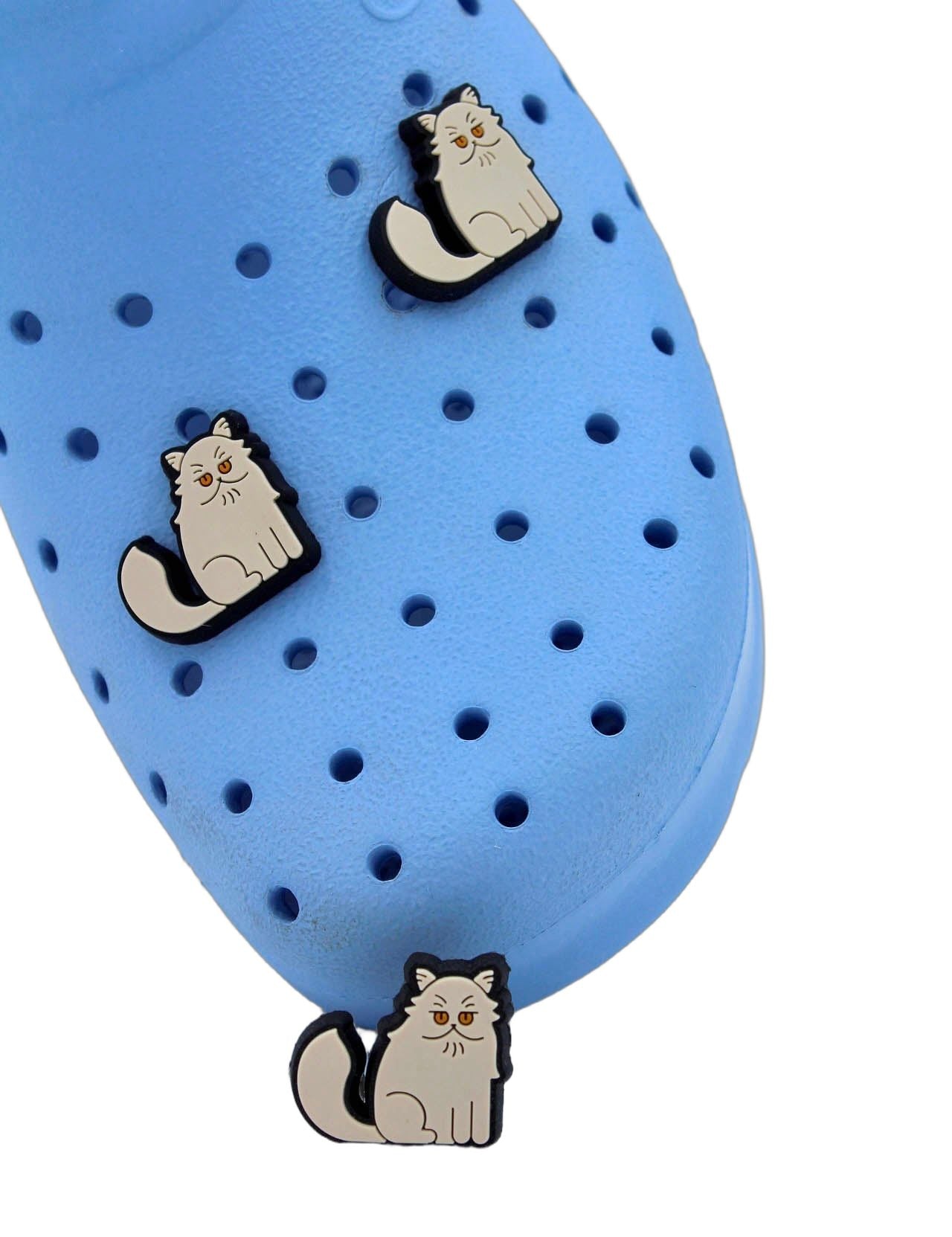 pin-gato-persa-clinica-veterinaria.jpg