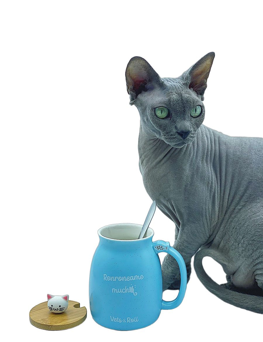 taza-ronroneame-mucho-azul-veterinario.jpg