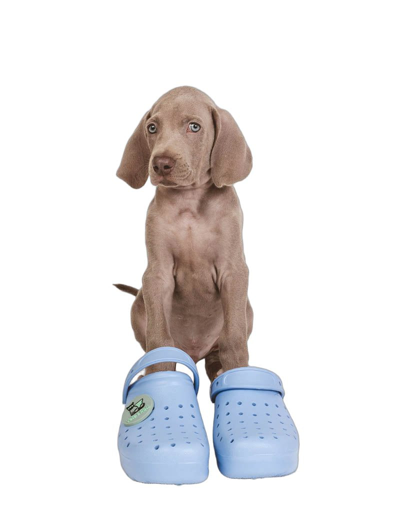 zuecos-vet-at-work-azul-veterinario.jpg